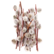 DP CRAFT BAZIE 10 G