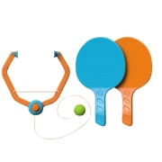 FAT BRAIN DOOR PING-PONG 