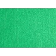 Filc - arkusz 20x30cm/1,5mm zieleń trawiasta