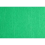 Filc - arkusz 20x30cm/1,5mm zieleń trawiasta