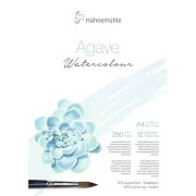 HAHNEMUHLE AGAVE WATERCOLOUR 290G A4 12 ARKUSZY
