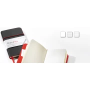 HAHNEMUHLE DIARYFLEX NOTES 100G  11,5X19CM LINIE