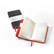 HAHNEMUHLE DIARYFLEX NOTES 100G  11,5X19CM PUSTY