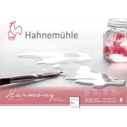 HAHNEMUHLE HARMONY 300g MATT 21x29,7cm