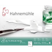 HAHNEMUHLE HARMONY 300g SATIN 21x29,7cm
