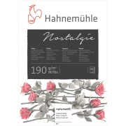 HAHNEMUHLE NOSTALGIE 190G SKETCH A4 50 ARKUSZY