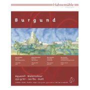 Papier BURGUND MAT 250g 50x65cm