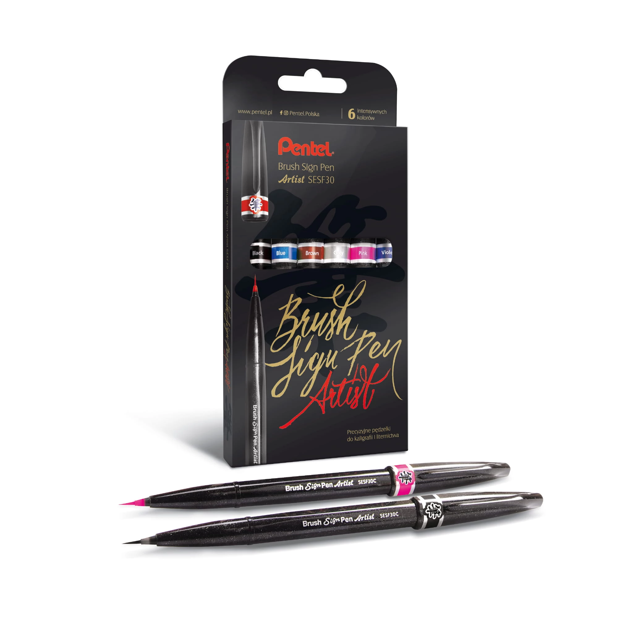 PENTEL Pisaki pędzelkowe Brush Sign Pen Artist 6 kolorów