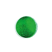 PIGMENT SUCHY 50G ZIELEŃ CHROMOWA