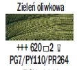 TALENS REMBRANDT 40ML 620 - OLIVE GREEN - farba olejna