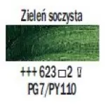 TALENS REMBRANDT 40ML 623 - SAP GREEN - farba olejna