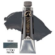 TALENS REMBRANDT 40ML 717 - COLD GREY - farba olejna